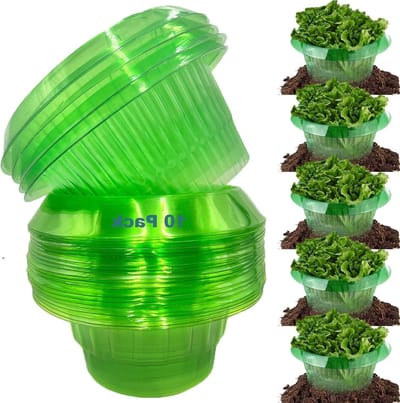 Effectieve slakkenbescherming voor je slaplanten en kool - plastic slakkenkraag met ring