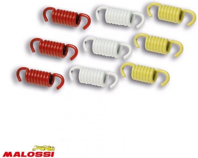 koppelingsveer malossi voor scooter gilera 125 runner 2002 tot 2007 2911326 nieuw