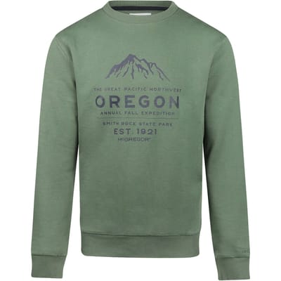 McGregor Graphic Hoody  Winter Sage Size: S | Sweaters Outlet | Heren | Groen