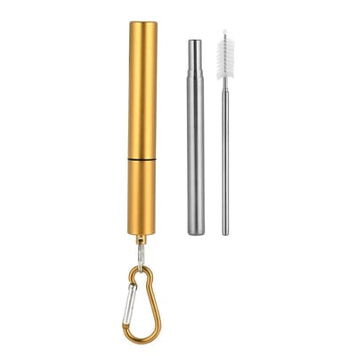 Dailygoods- Herbruikbare Stro - Draagbaar - Roestvrij Staal - Intrekbaar - Drie Delen - Inclusief Reinigingsborstel - Drinkrietje
