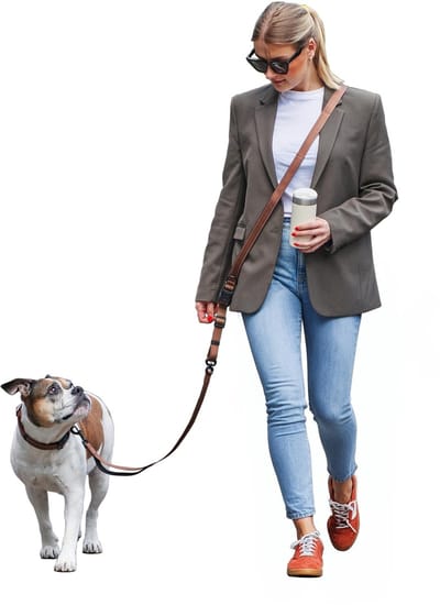 Dailygoods- Hondenriem 3 meter - Traploos verstelbaar - Hondenleidsel - Geschikt voor honden tot 25 kg - Vrije handen tijdens wandelen - In geschenkzakje - Hondenlijn