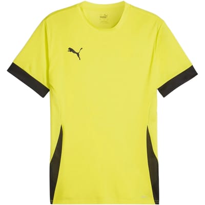 Puma TeamGOAL Matchday Shirt Heren - Maat S