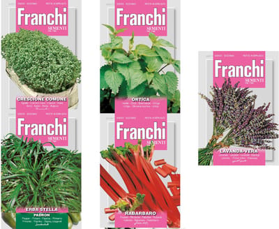 Groente zaden set van 5 soorten | Rabarber Rabarbaro | Augurk Cetriolino Levina | Aardbei Fragola Quatro stagioni | Chorei Cicoria var esp Catelfrance | Peper Peperone Piccante Calabrese