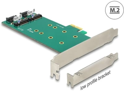 Delock PCI Express x1 Card > 2 x internal M.2 Key B 110 mm - Low Profile Form Factor