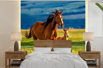 Behang kinderen - Muurdecoratie kinderkamer - Paarden - Natuur - Dieren - Gras - Bruin - Groen - Kinderen - 280x280 cm - Decoratie kinderkamers - Kinderbehang