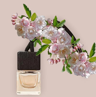 Autoparfum Collectie Millionaire Vibes P-co - Car perfume - Ultieme Luxe voor Heren