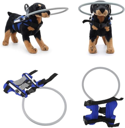 Dailygoods- Bumper voor Honden - Verstelbare Anti-botsingshalsband - Duurzaam SBR-Stof - Lichtgewicht en Ademend - Geschikt voor Blinde Dieren - Machinewasbaar - Halsband