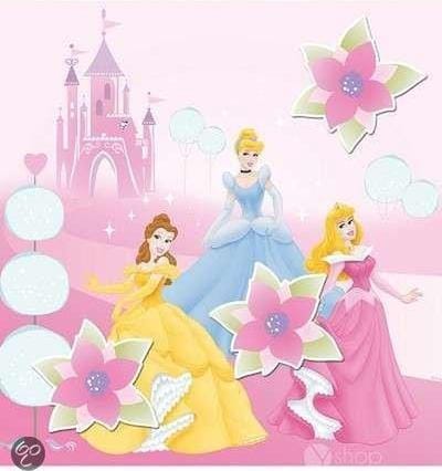 Princess Magnetisch Canvas