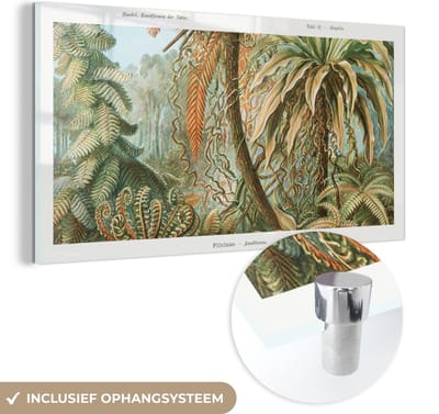 MuchoWow® Glasschilderij 40x20 cm - Schilderij acrylglas - Vintage - Oude meesters - Varens - Planten - Natuur - Foto op glas - Schilderijen