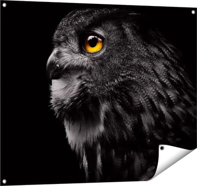Gards Tuinposter Zwarte Uil met Gouden Ogen - 100x80 cm - Tuindoek - Tuindecoratie - Wanddecoratie buiten - Tuinschilderij