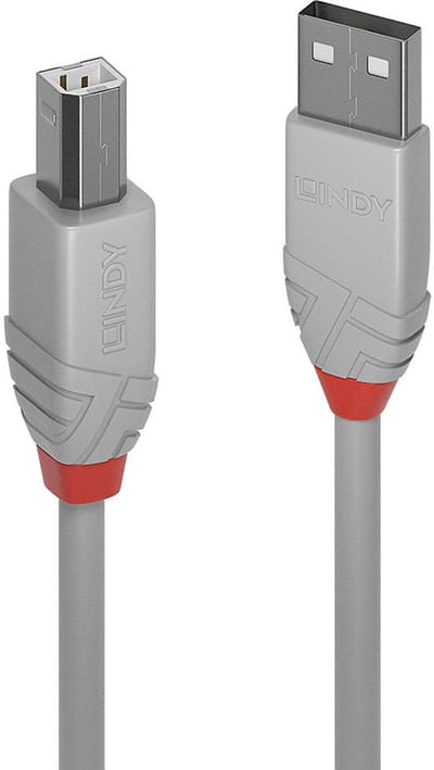 LINDY 36685 USB-kabel USB 2.0 USB-A stekker, USB-B stekker 5.00 m Grijs