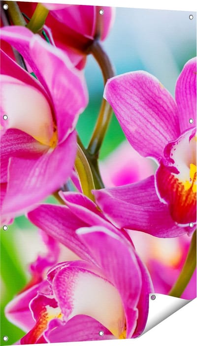Gards Tuinposter Licht Paarse Orchidee Bloemen - 80x120 cm - Tuindoek - Tuindecoratie - Wanddecoratie buiten - Tuinschilderij