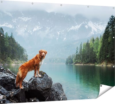 Gards Tuinposter Retriever Hond bij het Water in de Bergen - 160x120 cm - Tuindoek - Tuindecoratie - Wanddecoratie buiten - Tuinschilderij