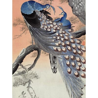 Peinture Diamant DIY Forage Complet Paon Image Perles Broderie Diamant Animal Peinture Strass 20X30CM black
