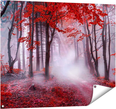 Gards Tuinposter Rood Bos met Bomen - 100x80 cm - Tuindoek - Tuindecoratie - Wanddecoratie buiten - Tuinschilderij