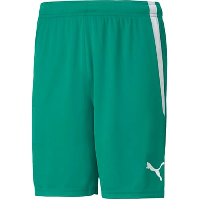 teamLIGA Short  Sportbroek Mannen - Maat S