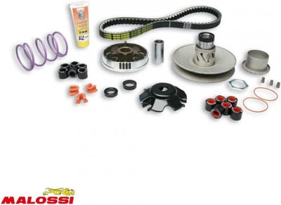malossi variator voor derbi 50 atlantis 2t scooter na 2003 6114219 / over range nieuw