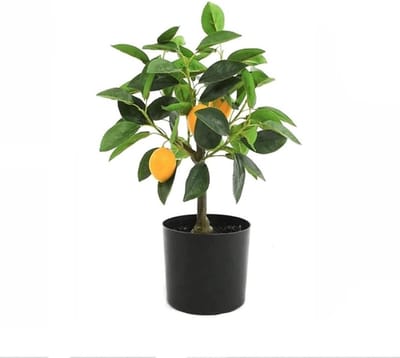 Decoratieve Bonsai - Kunstboom Potplant - Interieur Decoratie - Onderhoudsvrij Groen - 45cm Hoog - Groen