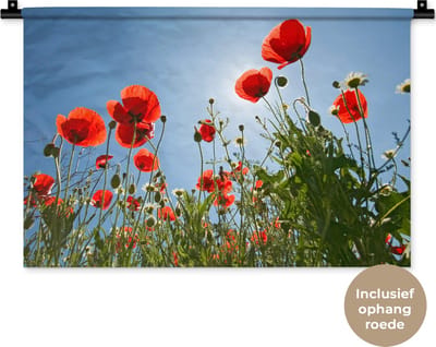 Wandkleed Klaproos - Felle zon boven een aantal klaprozen in Spanje Wandkleed katoen 60x40 cm - Wandtapijt met foto