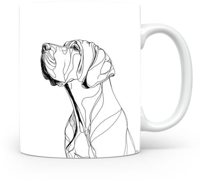 Beker Fila Brasileiro