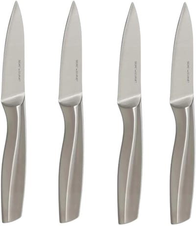 5Five Precision - Fruit en groente mes/Snijmes - 4x stuks - RVS - silver - 20 cm - keuken messen - luxe kwaliteit