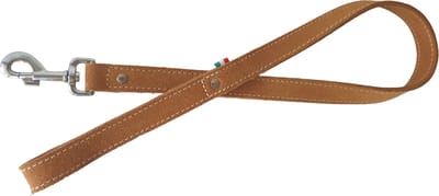 JACK AND VANILLA Gold Hondenriem / Hondenlijn - Leder - Breedte: 2,5 cm - Lengte: 100 cm