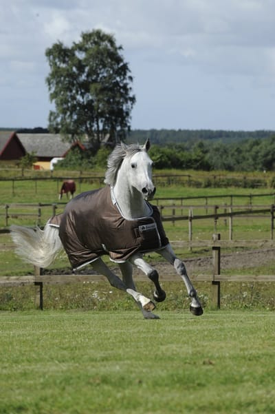 Bucas Smartex Rain Brown - Waterdichte Regendeken met Stay-Dry Fleecevoering 115 / 155