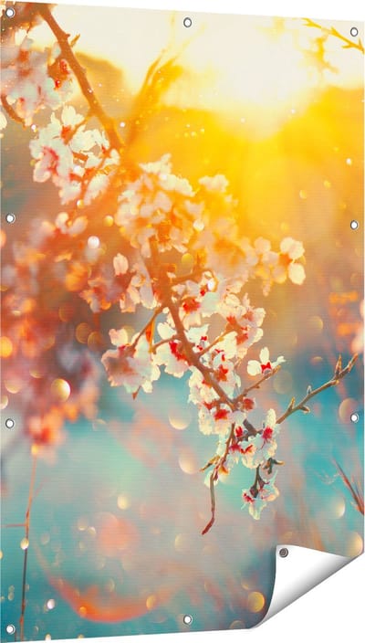 Gards Tuinposter Bloesemboom tijdens Zonsondergang - Bloem - 80x120 cm - Tuindoek - Tuindecoratie - Wanddecoratie buiten - Tuinschilderij