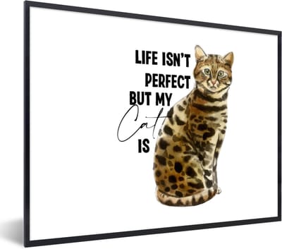 Fotolijst incl. Poster - Spreuken - Quotes - Life isn't perfect but my cat is - Poes - 40x30 cm - Posterlijst