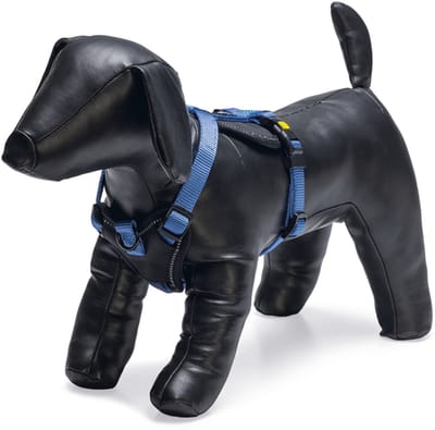 Beeztees Hondentuig Parinca Premium Y-Tuig - Hondenharnas kleine honden - Nylon - Blauw - 37-40cmx15mm