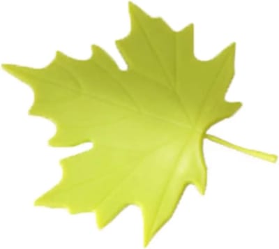 Deurstopper Esdoornblad - Deurwig Antislip - Deuren Open Houden - Anti-botsing Ontwerp - 165 x 135 cm - Groen
