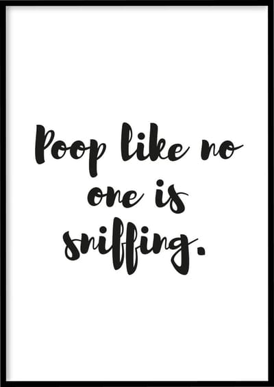 Poster Sniffing - 30x40 cm - WC poster - Exclusief fotolijst - WALLLL