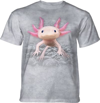T-shirt Axolotl S