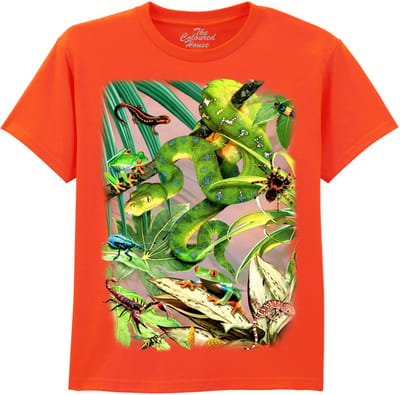 KIDS Kikker Schorpioen Spin Kameleon Scary Creatures The Coloured House KIDS T-shirt XL