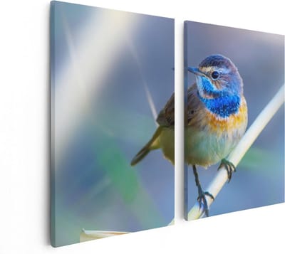 Artaza Canvas Schilderij Tweeluik Kleurrijke Blauwborst Vogel Op Een Tak - 80x60 - Foto Op Canvas - Canvas Print