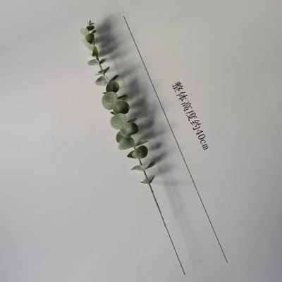 Enkele Eucalyptus, Grijze Eucalyptus Geldbladstekken, Huisdecoratie DIY Bloemschikking Gesimuleerde Groene Planten 1pcs groen