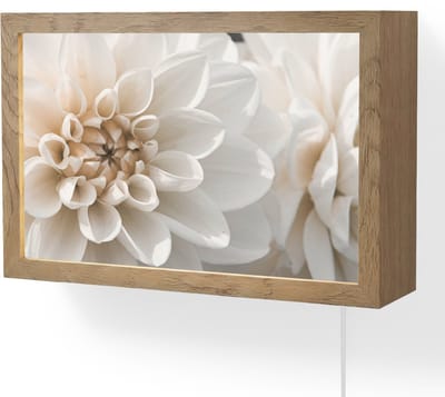 Wandlamp 30x20 cm - Oplaadbaar - Bloemen - Wit - Natuur - Wandlampen binnen woonkamer - Slaapkamer lamp met kabel - Decoratieve nachtlamp - Vloerlamp snoer