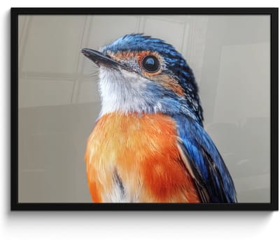 Poster in lijst - Fotolijst 70x50 cm - Posters - Kleurrijk - Vogeltje - Veren - Blauw - Posterlijst zwart - Decoratie - Wanddecoratie woonkamer - Muurdecoratie slaapkamer