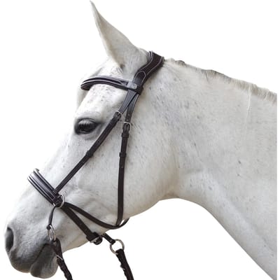 Hoofdstellen voor paarden Canter Bitless Evolution