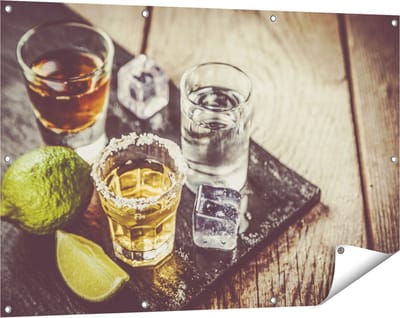 Gards Tuinposter Alcoholische Drankjes - Drank - 120x80 cm - Tuindoek - Tuindecoratie - Wanddecoratie buiten - Tuinschilderij