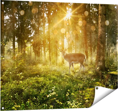 Gards Tuinposter Hert in Bos met Zon - 100x80 cm - Tuindoek - Tuindecoratie - Wanddecoratie buiten - Tuinschilderij