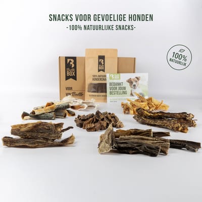 Hypoallergene Hondensnacks Proeverij Box – 10 Verschillende Snacks | Bellobox