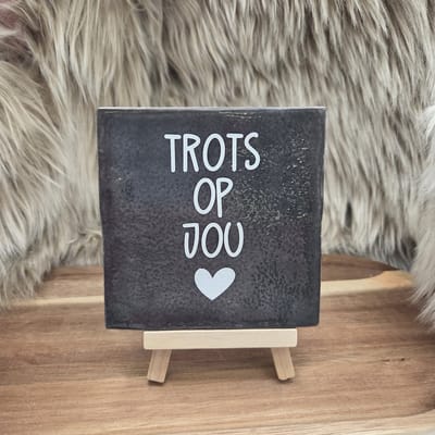 Robuust Wenstegeltje “Trots op Jou” – 10x10cm – Lief Cadeautegeltje met Hartje – Trendy nu – Geslaagd – vriend(in), familie, gezin, zomaar – Decoratief Tegeltje met Standaard – Cadeau Idee