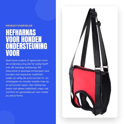 Dailygoods- Hefharnas Ondersteuning - Hondensteunharnas - Schokbestendig - Duurzaam - Comfortabel - Voor oudere/hond met beperking - Hondenharnas