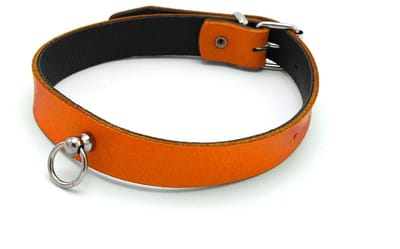 Kiotos Leather - Collar met Kleine O-ring - Leder - Oranje