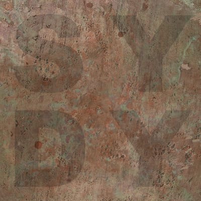 Shiny Darkly - Bronze (LP)