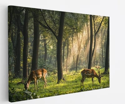 Saammp Canvas Schilderij - Hertjes in het bos - Natuur - Dieren - 45x30 - Foto op canvas - Wanddecoratie - Muurdecoratie Woonkamer - Slaapkamer decoratie - Canvas Print
