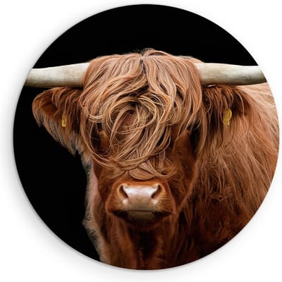 Saammp Muurcirkel Hout - Schotse Hooglander Koe - Natuur - Dieren - Portret - Ø 90 - Wandcirkel - Wanddecoratie Cirkel - muurdecoratie Woonkamer - Slaapkamer decoratie - Rond Schilderij