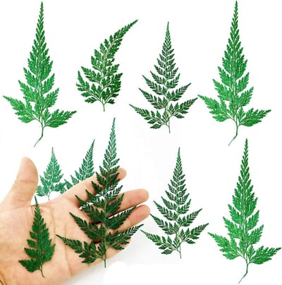 42 Stuks Gedroogde Persbloemen en Bladeren voor Knutselen en Decoratie