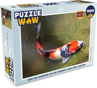 Puzzel Een koi karper op de bodem van een vijver - Legpuzzel - Puzzel 1000 stukjes volwassenen